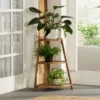 Teal Island Designs Farmhouse Rustic Acacia Wood Triangular Indoor Outdoor Plant Stand 25" Wide Brown Tapering Slatted Frame 3-Shelf For Patio House -Sunnydaze Decor Store GUEST 05eb5c64 d5ae 46a9 81fb b6ab82ce4e41