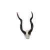 Design Toscano Kudu African Wall Trophy 2 Design Toscano Kudu African Wall Trophy -Sunnydaze Decor Store GUEST 074fe4fe bf01 4820 9420 a4e5753f78da