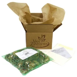 Van Zyverden Allium Purple Giganteum Flower Bulb -Sunnydaze Decor Store GUEST 173d033c 2a9d 49e2 aac7 fc87c07d5dac