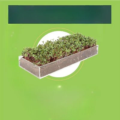 Window Garden Microgreens Grow Kit - Hydroponic Growing Kit 3 Window Garden Microgreens Grow Kit - Hydroponic Growing Kit