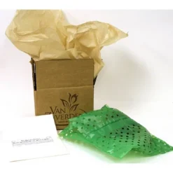 Van Zyverden Multi Amaryllis Red Flower Bulb -Sunnydaze Decor Store GUEST 1d67ef28 a00f 4133 bc5e 944ba1753dac