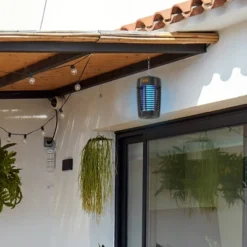 Black & Decker BLACK+DECKER Outdoor/Indoor Bug Zapper 8 Black & Decker BLACK+DECKER Outdoor/Indoor Bug Zapper -Sunnydaze Decor Store GUEST 24272b3d 8426 4960 92d9 c774c228ea9b