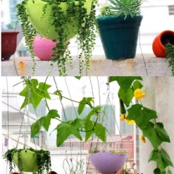 Unique Bargains Home Garden Plant Basket Flower Pot Plant Planters White 10 Pcs 14 Unique Bargains Home Garden Plant Basket Flower Pot Plant Planters White 10 Pcs -Sunnydaze Decor Store GUEST 247590d8 4b63 4bc3 90d6 b8371faf14dd