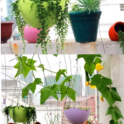 Unique Bargains Home Garden Plant Basket Flower Pot Plant Planters White 10 Pcs 8 Unique Bargains Home Garden Plant Basket Flower Pot Plant Planters White 10 Pcs - Image 6