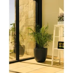 17" Kante Lightweight Concrete Modern Seamless Outdoor Planter Charcoal - Rosemead Home & Garden, Inc. 15 17" Kante Lightweight Concrete Modern Seamless Outdoor Planter Charcoal - Rosemead Home & Garden, Inc. -Sunnydaze Decor Store GUEST 2735eae4 4eed 4365 8731 f3687f207e69
