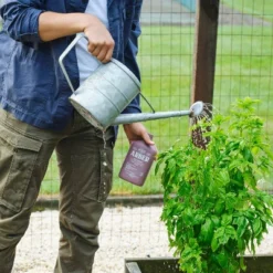 Arber 8oz Organic Bio Fungicide Concentrate 12 Arber 8oz Organic Bio Fungicide Concentrate -Sunnydaze Decor Store GUEST 2a097dc5 741a 47e6 b566 d6323720fd5f