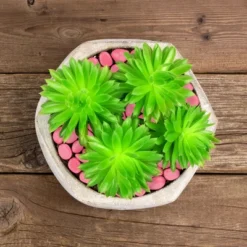 Garden Stones-500 Count Glow In The Dark Solar Pathway Pebble Lights-Decorative Glowing Rocks By Nature Spring (Yellow) 10 Garden Stones-500 Count Glow In The Dark Solar Pathway Pebble Lights-Decorative Glowing Rocks By Nature Spring (Yellow) -Sunnydaze Decor Store GUEST 2cb44203 cb3a 478f 8d2d 570a4555aca8