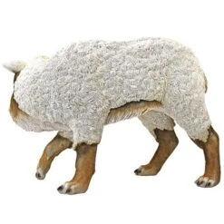 Design Toscano Wolf In Sheep's Clothing Garden Statue -Sunnydaze Decor Store GUEST 2e461e35 7d64 4b2a b982 842002cb0a05