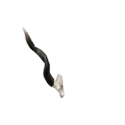 Design Toscano Kudu African Wall Trophy 13 Design Toscano Kudu African Wall Trophy -Sunnydaze Decor Store GUEST 2f711fc3 0c69 4b86 bf76 4e6d76499c6c