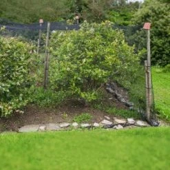 Viirkuja 4" X 5"m Fine Mesh Pond Bird Repellent Net, Black -Sunnydaze Decor Store GUEST 30461c12 60a7 4d2c b15f f4cb9c0fb2bb