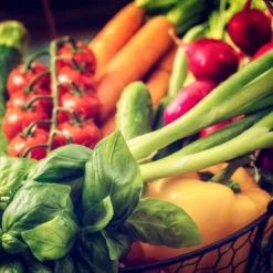 Back To The Roots 20pk Organic USA Herbs And Vegetable Seeds -Sunnydaze Decor Store GUEST 32a4f4b8 1a47 4ba6 be5a 5d7632f360ad