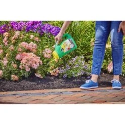 Miracle-Gro Shake 'N Feed All Purpose Continuous Release Plant Food 4.5lb -Sunnydaze Decor Store GUEST 336d009d b5ce 4a76 beec 25c002711f01