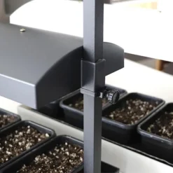 SunBlaster SL1600199 T5HO Micro T5 Grow Light Garden W/Reflector & 4 Seedling Trays For Flower, Herbs, And Veggie Seed Starting Or Plant Propagation -Sunnydaze Decor Store GUEST 35e757ff c8a2 42c3 89d2 7de6e7df246a