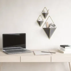 Trigg Wall Display Planter Black/Brass - Umbra -Sunnydaze Decor Store GUEST 37a434c7 8031 4032 8e8e 195de80284b1