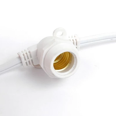 Novelty Lights Globe Outdoor String Lights With 25 In-Line Sockets White Wire 25 Feet 4 Novelty Lights Globe Outdoor String Lights With 25 In-Line Sockets White Wire 25 Feet - Image 2