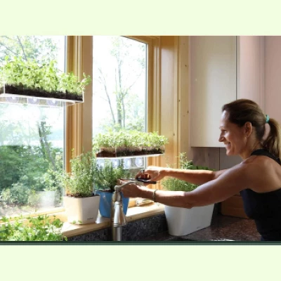 Window Garden Seed Starter Soil Mix For Indoor And Outdoor Planting 3 Window Garden Seed Starter Soil Mix For Indoor And Outdoor Planting