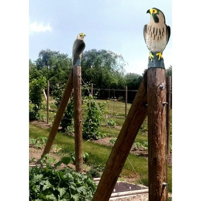 2pk 16" Falcon Decoy - Bird-X 3 2pk 16" Falcon Decoy - Bird-X