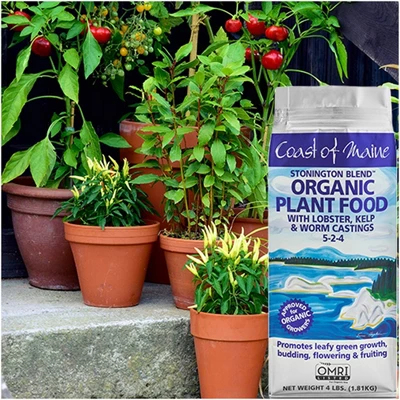 Coast Of Maine OMRI Listed Organic Stonington Blend Plant Food Compost Potting Soil Blend For Container Gardens And Flower Pots, 4 Pound Bag (2 Pack) 4 Coast Of Maine OMRI Listed Organic Stonington Blend Plant Food Compost Potting Soil Blend For Container Gardens And Flower Pots, 4 Pound Bag (2 Pack) - Image 2