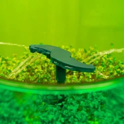 Tribest Freshlife 3000 Automatic Sprouter – Green -Sunnydaze Decor Store GUEST 479555fc 9d58 4231 97c4 106bd66132fb