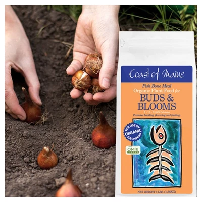 Coast Of Maine OMRI Listed Fish Bone Meal Pack Organic Compost Potting Soil Blend For Container Gardens And Flower Pots, 3 Pound Bag 6 Coast Of Maine OMRI Listed Fish Bone Meal Pack Organic Compost Potting Soil Blend For Container Gardens And Flower Pots, 3 Pound Bag - Image 4