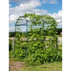 Gardener’s Supply Company Extra Tall Garden Arch Arbor 80in Titan Squash Tunnel | Lightweight Metal Garden Arch Trellis Plant Stand For Climbing Vines