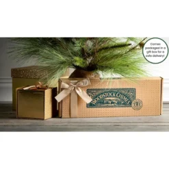 Woodstock Wind Chimes Signature Collection, Pipedream, 11'' Silver Wind Chime PDN 11 Woodstock Wind Chimes Signature Collection, Pipedream, 11'' Silver Wind Chime PDN -Sunnydaze Decor Store GUEST 55a950c0 d183 4575 91f2 9d9d97df3920