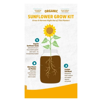 Back To The Roots Organic Sunflower Grow Kit 7 Back To The Roots Organic Sunflower Grow Kit - Image 5