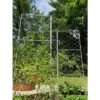Gardener's Supply Company Chicken Wire Pea Trellis For Climbing Plants | Multi-Use Heavy Duty Outdoor Garden Peas, Tomato, Cucumber Plant Support | -Sunnydaze Decor Store GUEST 5da09339 4654 4a4e 99ec 7ae133707b35