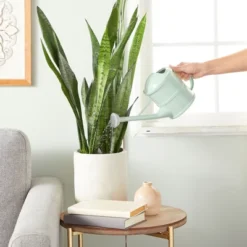 Farmlyn Creek Small Mint Green Plastic Watering Can With Long Spout Sprinkler Head For Garden, Indoor And Outdoor Plants, Flowers, 0.4 Gallon -Sunnydaze Decor Store GUEST 60cd3361 5134 41a2 a5d0 058ec8a3d77a