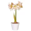 Van Zyverden Amaryllis White/Pink Impatient Flower Bulb -Sunnydaze Decor Store GUEST 6a1f138e d4d7 4c6e 8f15 2d40da31fa87