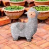 Design Toscano Andes The Little Alpaca Garden Statue -Sunnydaze Decor Store GUEST 6b00dc66 cf3e 4d54 a9b8 35eb3d1a1e5b
