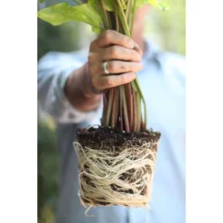 Good Dirt Naturals Indoor/Outdoor Plant Food - 15 Fl Oz -Sunnydaze Decor Store GUEST 7911ed93 91c5 452d 80a6 57f63806691c