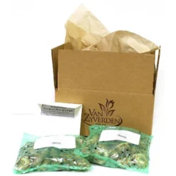 Van Zyverden Set Of 25 Daffodils Bulbs Classic Improved King Alfred 5 Van Zyverden Set Of 25 Daffodils Bulbs Classic Improved King Alfred -Sunnydaze Decor Store GUEST 84b7c13c 7d86 4112 93f7 edf394acacf5