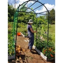 Gardener’s Supply Company Extra Tall Garden Arch Arbor 80in Titan Squash Tunnel | Lightweight Metal Garden Arch Trellis Plant Stand For Climbing Vines -Sunnydaze Decor Store GUEST 85e2a5c9 9f14 484f 8ea5 7a5fd1de57d4