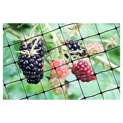 100'x14' Standard Bird Netting - Bird-X 4 100'x14' Standard Bird Netting - Bird-X - Image 2