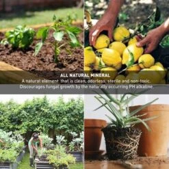 Palmetto 18 Pound Organic Grade 3 Coarse Vermiculite Planting Soil Additive For Greenhouse Gardening, Hydroponic, And Landscaping, 4 Cubic Feet -Sunnydaze Decor Store GUEST 88e6e075 4a97 42c0 b3f6 1768493d503a