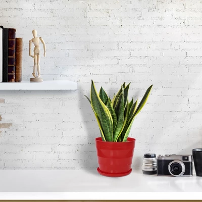 Unique Bargains Plastic Round Shape Home Garden Office Plant Planter Flower Pot 1 Pc 6 Unique Bargains Plastic Round Shape Home Garden Office Plant Planter Flower Pot 1 Pc - Image 4