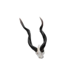 Design Toscano Kudu African Wall Trophy 12 Design Toscano Kudu African Wall Trophy -Sunnydaze Decor Store GUEST 8ab99d4d a632 4236 91ac 915a884be690