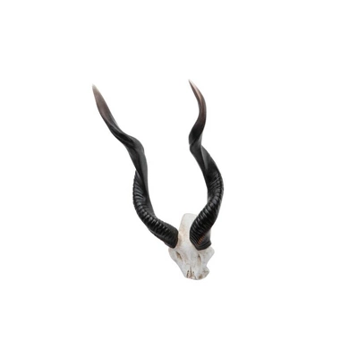 Design Toscano Kudu African Wall Trophy 6 Design Toscano Kudu African Wall Trophy - Image 4