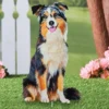 Collections Etc Realistic Australian Shepherd Outdoor Garden Stake -Sunnydaze Decor Store GUEST 8ace5427 ac9e 4908 89f5 f69abcd77de3