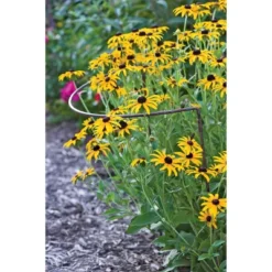 12 X 19 Jardin Half-Round Supports, Set Of 2