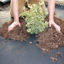 DeWitt Weed Barrier Pro 3-Ounce Commercial And Home Garden Landscape Weed Block Barrier Heavy-Duty Non-Woven Ground Cover Fabric, Black 12 DeWitt Weed Barrier Pro 3-Ounce Commercial And Home Garden Landscape Weed Block Barrier Heavy-Duty Non-Woven Ground Cover Fabric, Black -Sunnydaze Decor Store GUEST 8ec83369 f28f 49ca 8c05 1a8805e12ebc