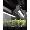 LED Stack-n-Grow Light Stand Base Unit Full Spectrum Grow Light For Seed Starting And Indoor Plants - Gardener's Supply Company -Sunnydaze Decor Store GUEST 908b2b68 0553 4276 b87d 6a661810c4f1 1