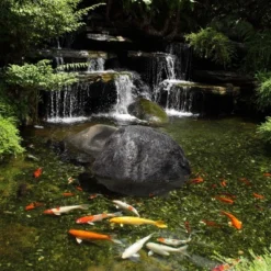 Outdoor Natural Artificial Round Rock Decor For Gardens, Lawns, And Landscapes 15 Outdoor Natural Artificial Round Rock Decor For Gardens, Lawns, And Landscapes -Sunnydaze Decor Store GUEST 974e8bdb 6b88 412e bc72 49ca87b4cc82