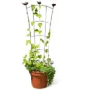 Gardener's Supply Company 'Flock Of Friends' Garden & Container Pot Trellis | Sturdy Steel Frame For Climbing Vining Plants & Flowers - 48" High