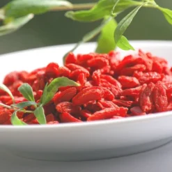 2.5qt Gogi Berry Plant With White Blooms - National Plant Network -Sunnydaze Decor Store GUEST 9ce0c4ad 9b44 470f 83f5 4426ab66f19c