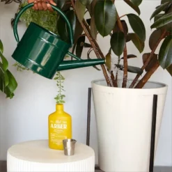 Arber 8oz Organic Bio Insecticide Concentrate -Sunnydaze Decor Store GUEST a42657b5 fa9e 45aa ba6d e5e2b61fc150