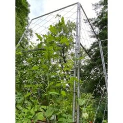Gardener's Supply Company Chicken Wire Pea Trellis For Climbing Plants | Multi-Use Heavy Duty Outdoor Garden Peas, Tomato, Cucumber Plant Support | -Sunnydaze Decor Store GUEST ab7477bf 9d33 45a3 9b47 25a12d6b9070
