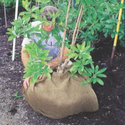 DeWitt NAT4300 4 X 300 Ft All Natural Organic Biodegradable Paper Mulch Garden Weed Control Barrier 9 DeWitt NAT4300 4 X 300 Ft All Natural Organic Biodegradable Paper Mulch Garden Weed Control Barrier -Sunnydaze Decor Store GUEST b442a65b acf5 4154 a557 05faf91953c2