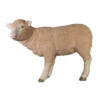 Design Toscano Merino Ewe Life-Size Lamb Statue 1 Design Toscano Merino Ewe Life-Size Lamb Statue -Sunnydaze Decor Store GUEST b588da32 dbdd 4203 8915 a6f433b373a1